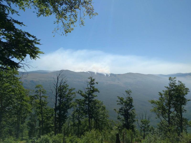 Aktivan požar na površinama Šumarije Bosansko Grahovo