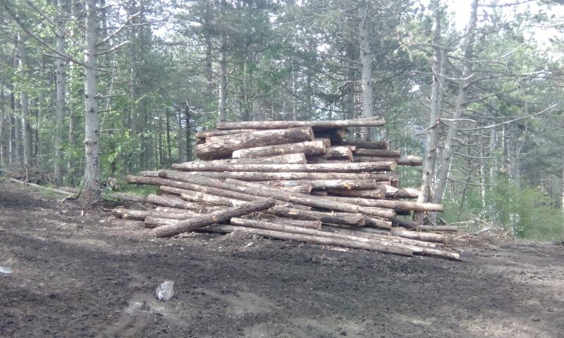 img_20160615_090344.jpg