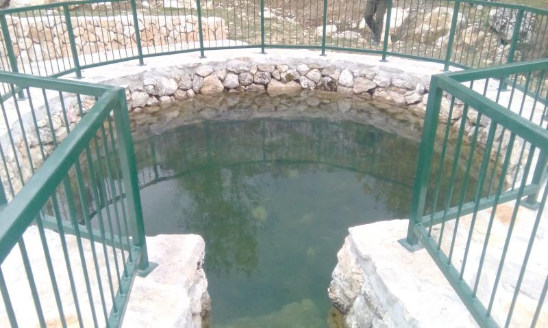 img_20161018_125033.jpg