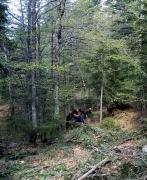 kupres-posumljavanje-6.6.2022.-6.jpg