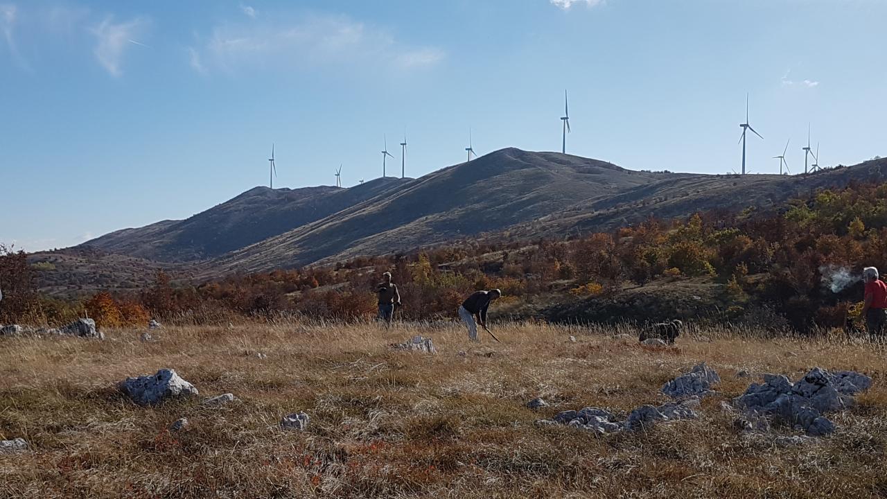 livno_aktivnosti_2.jpg
