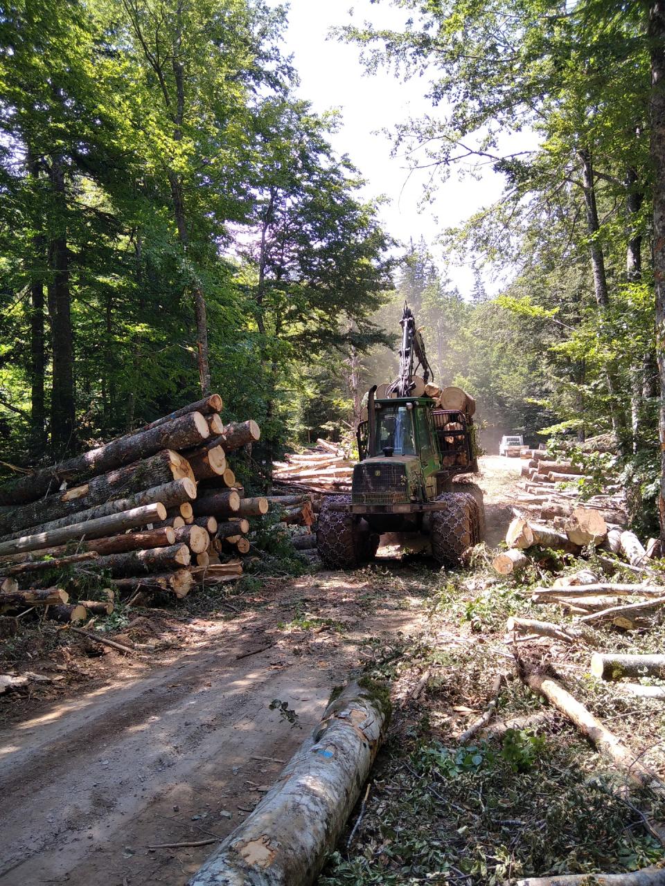 obavijest-recertifikacijski-proces-fsc-28.07.2022.-4.jpg