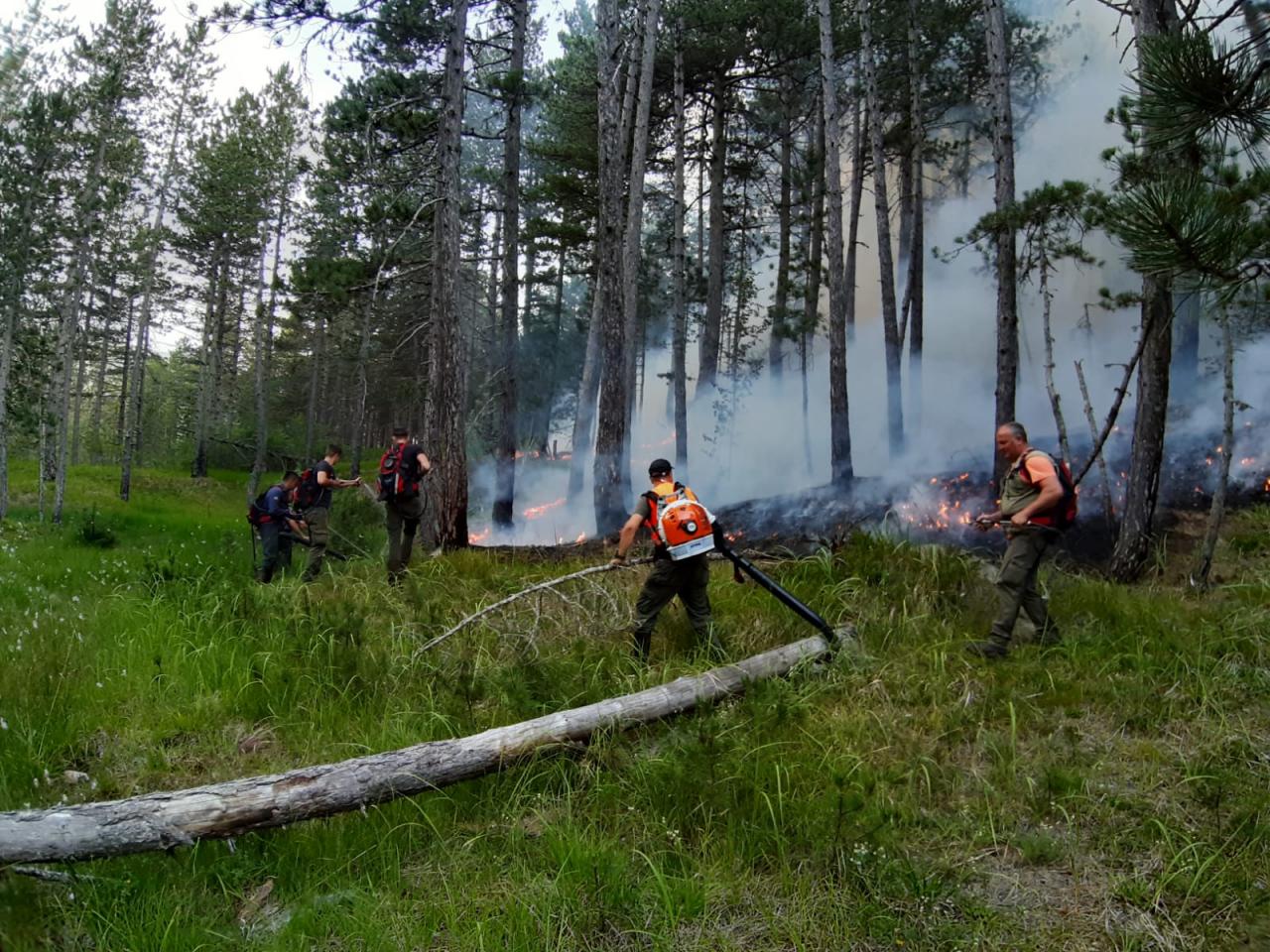 pozar-bos.grahovo-7-2021-10.jpg