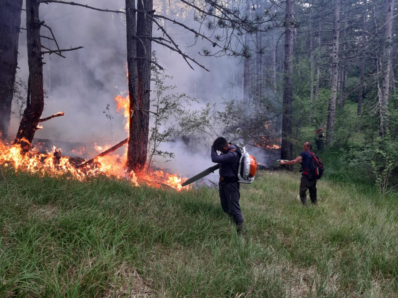 pozar-bos.grahovo-7-2021-3.jpg