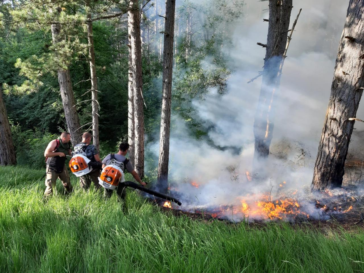 pozar-bos.grahovo-7-2021-4.jpg