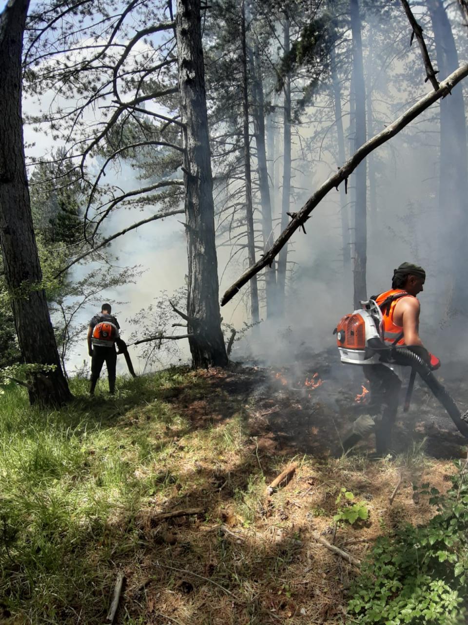 pozar-bos.grahovo-7-2021-8.jpg