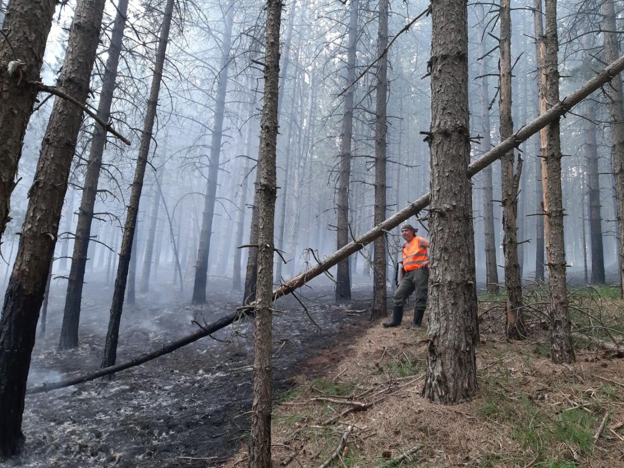 pozar-bos.grahovo-7-2021-9.jpg