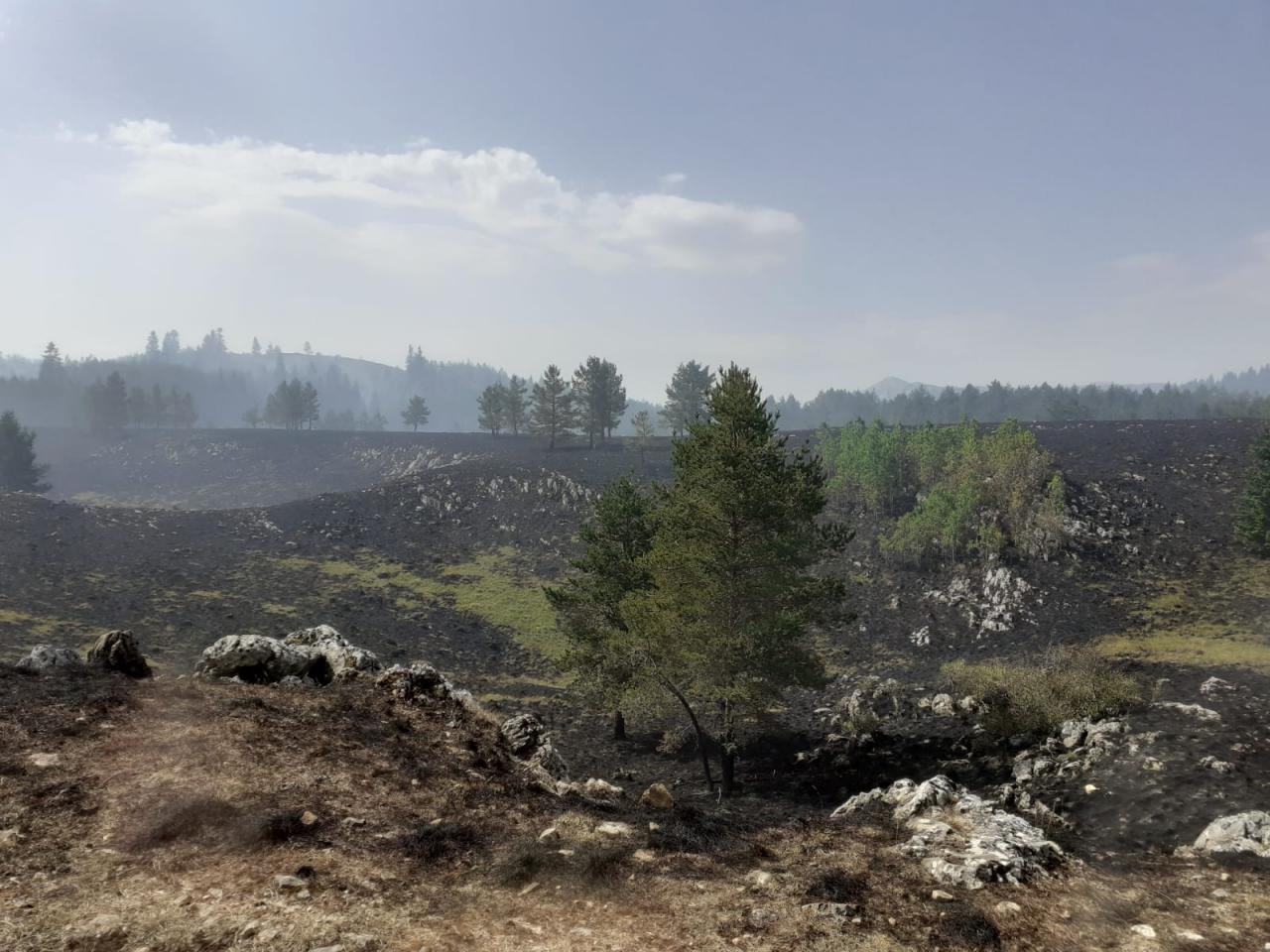 pozar-jelovaca-kupres-7-2021-3.jpg