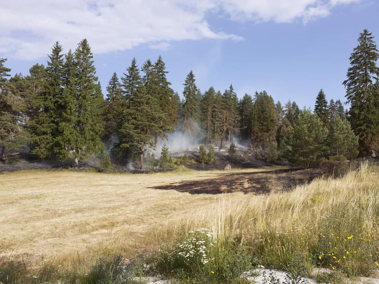 pozar-kupres-ravasnica-07-2021_3.jpg